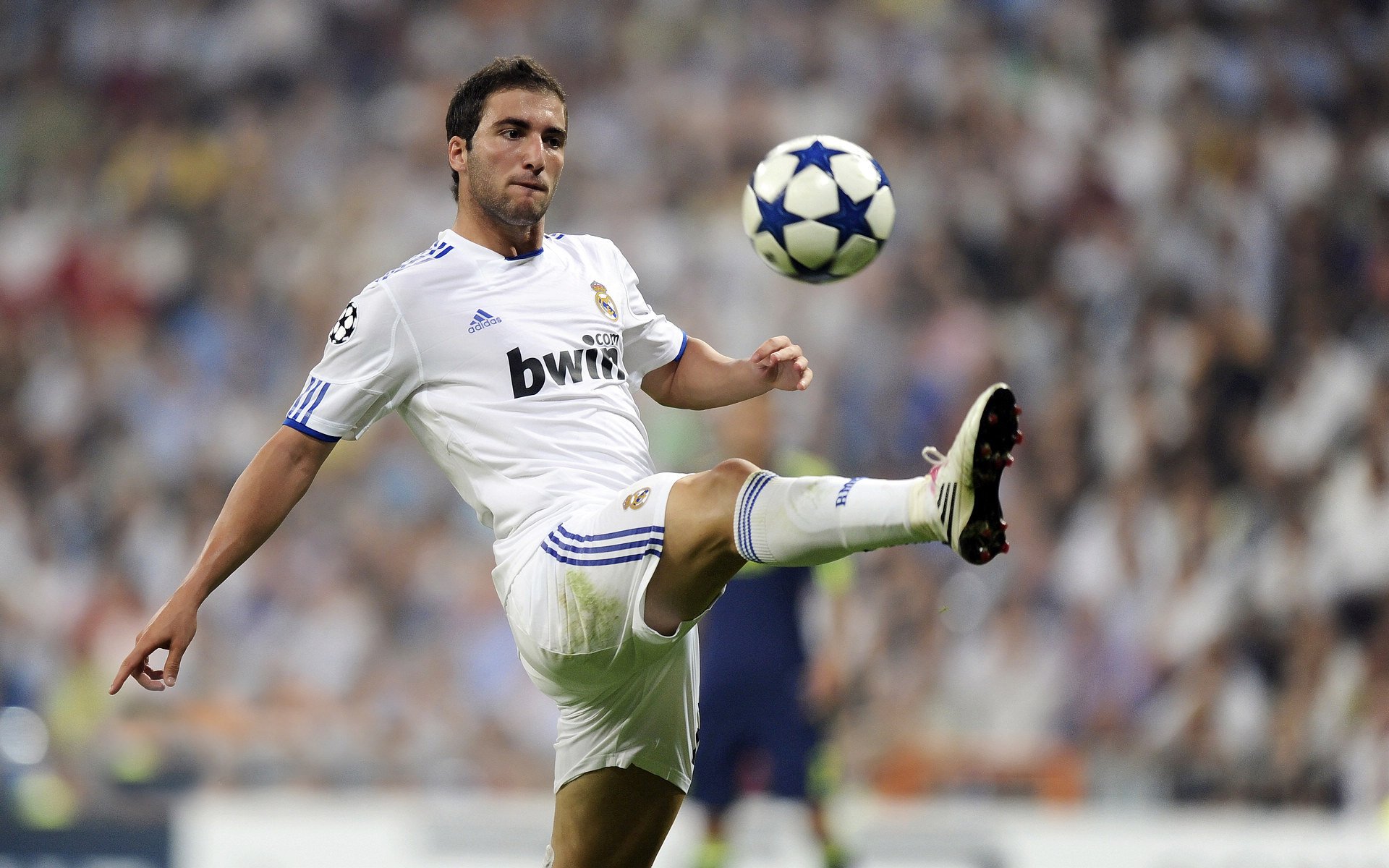 亚冠联赛中国足球战胜 球员配合日益默契，中国亚冠球队一览