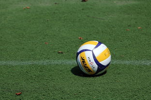 女子排球世锦赛中国队逆转强敌夺冠，女子排球世锦赛几年一届