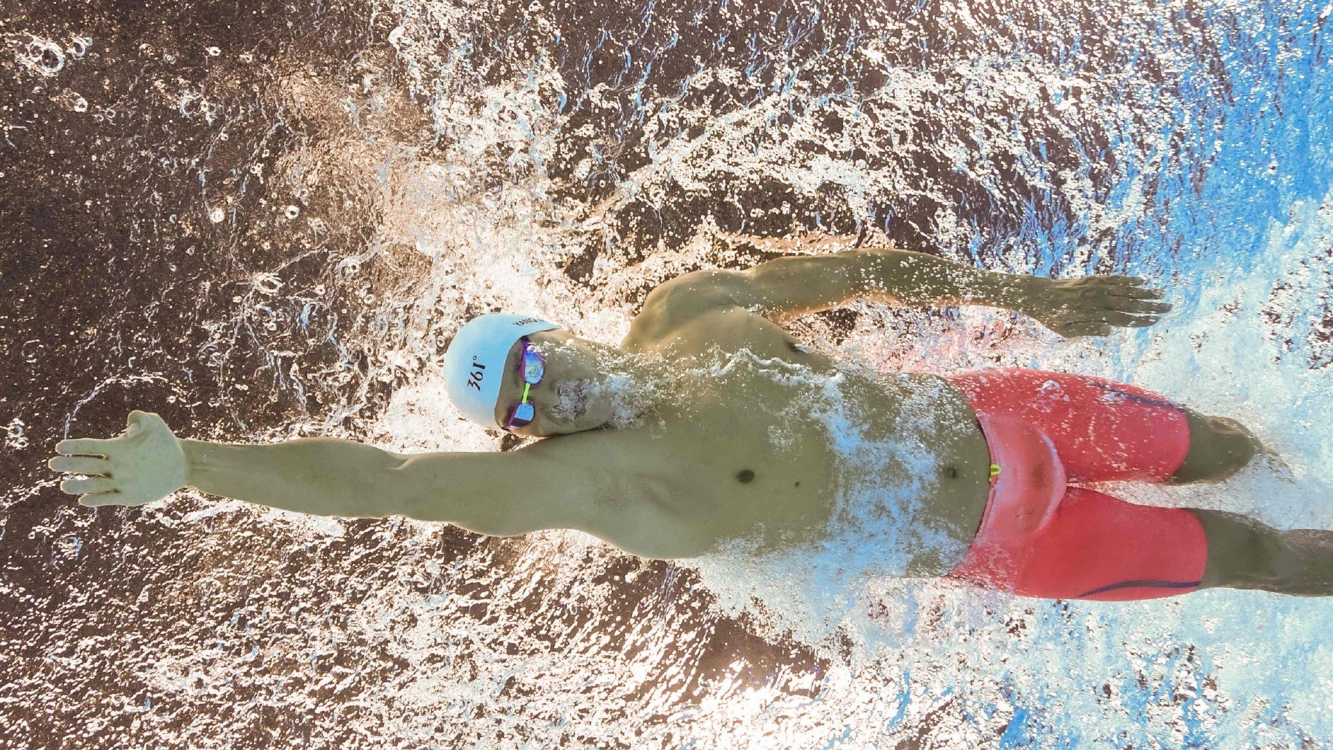 世界登山青年导师生态修复志愿活动成果汇报